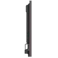 интерактивная панель Philips 86BDL3652T/00