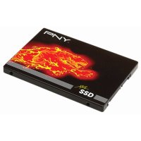 PNY SSD7CS2111-480-RB