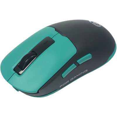 Raskat MG027TR
