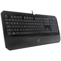 Razer DeathStalker Essential Black USB