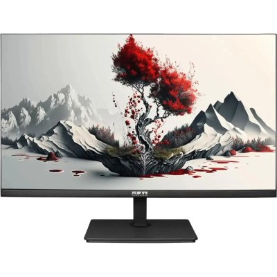 монитор RDW Computers 2401K/F00B3100V2A1H