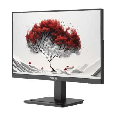 RDW Computers 2401K/F00B3120V2A1