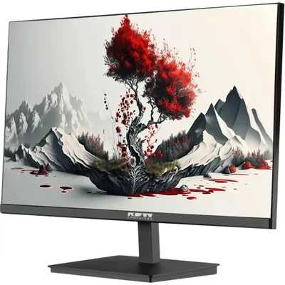 монитор RDW Computers 2401K/F00В3100V2A1H