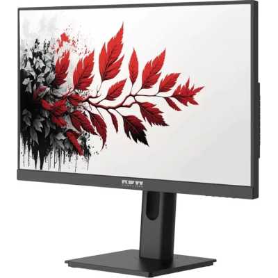 RDW Computers 2701K/F00B3120V2A1