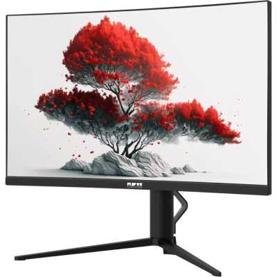 RDW Computers RDW2706C/Q03В375V2A1
