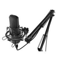 Ritmix RDM-169 Black