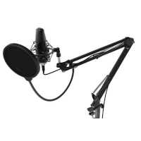 микрофон Ritmix RDM-169 Black