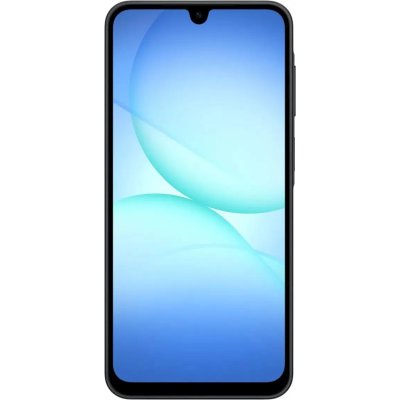 Samsung Galaxy A17 8/256GB Black SM-A175FZKOCAC