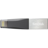 SanDisk 128GB SDIX40N-128G-GN6NE