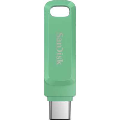 SanDisk 256GB SDDDC3-256G-G46AG