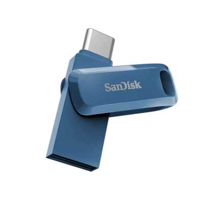 SanDisk 256GB SDDDC3-256G-G46NB