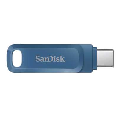 флешка SanDisk 256GB SDDDC3-256G-G46NB