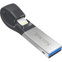 SanDisk 256GB SDIX30N-256G-GN6NE