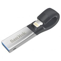 SanDisk 256GB SDIX30N-256G-GN6NE