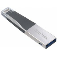 SanDisk 32GB SDIX40N-032G-GN6NN