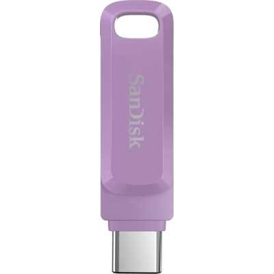 SanDisk 64GB SDDDC3-064G-G46L
