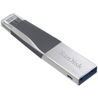 SanDisk 64GB SDIX40N-064G-GN6NN