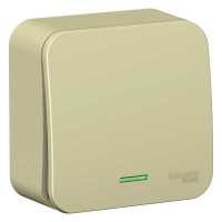 Schneider Electric Blanca BLNVA101117
