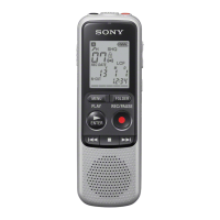 Sony ICD-BX140