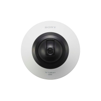 Sony SNC-DH210W