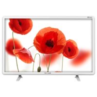 телевизор Telefunken TF-LED24S21T2