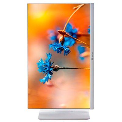 Тесла P24 i3-12100/8GB/512GB/P24WP Back to School