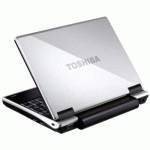 Toshiba NB100-10X