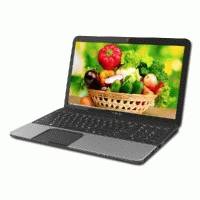 Toshiba Satellite C850D-D6S