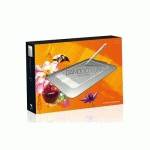 Wacom Bamboo Fun Pen&Touch SCTH-461-RU