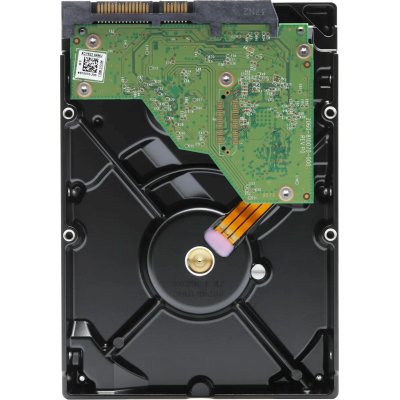 WD Purple 1Tb WD11PURZ