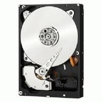 WD RE 1Tb WD1001FYYG