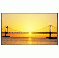 ЖК панель Samsung SyncMaster 400UXn